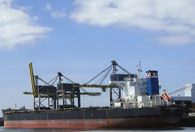 STAR BOREALIS Bulk Carrier IMO 9587386 photo 7
