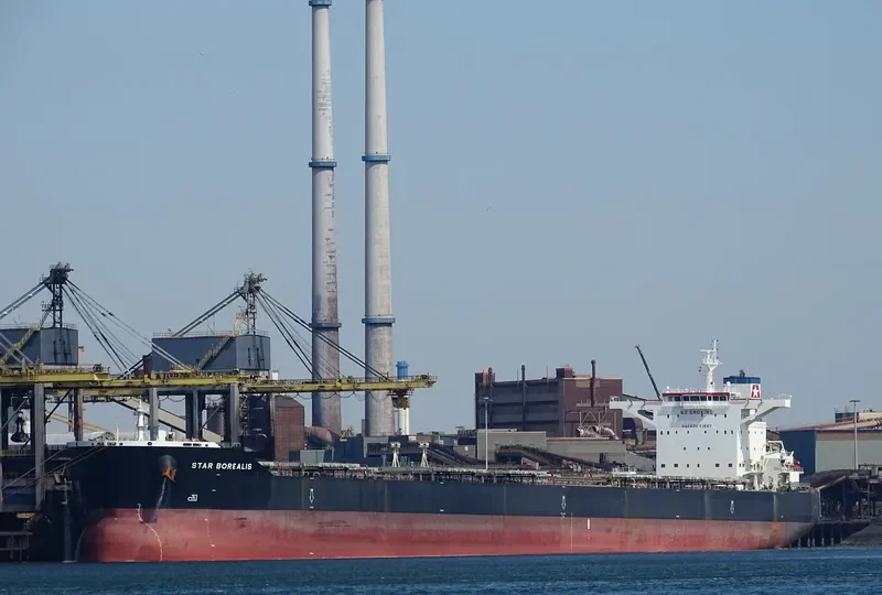 STAR BOREALIS Bulk Carrier IMO 9587386 photo 8