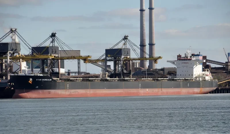 STAR BOREALIS Bulk Carrier IMO 9587386 photo 10