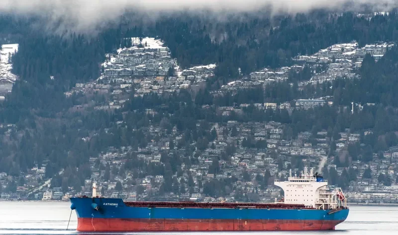 ANTHEMIS Bulk Carrier IMO 9587441