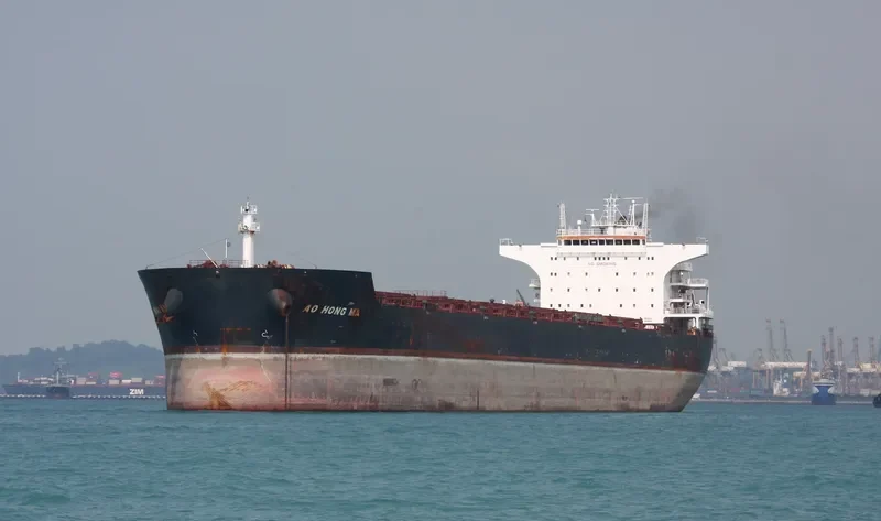 ANTHEMIS Bulk Carrier IMO 9587441 photo 3