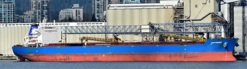 ANTHEMIS Bulk Carrier IMO 9587441 photo 5