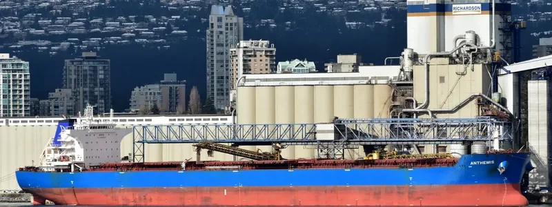 ANTHEMIS Bulk Carrier IMO 9587441 photo 7