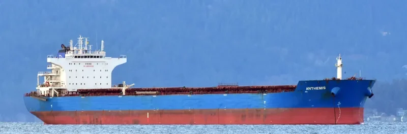 ANTHEMIS Bulk Carrier IMO 9587441 photo 8