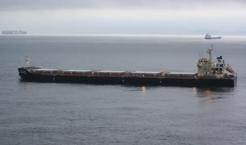 GUANG ZHOU FA ZHAN 3 Bulk Carrier IMO 9587532