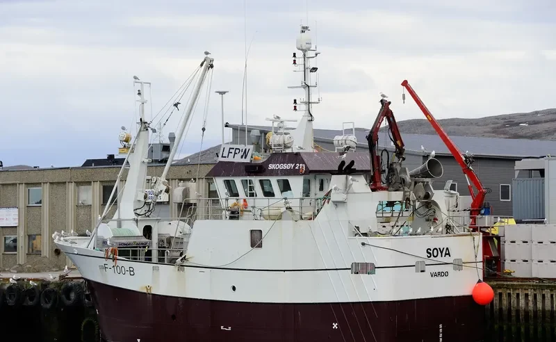 SOYA General Cargo IMO 9587726