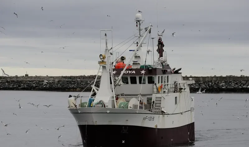 SOYA General Cargo IMO 9587726 photo 4