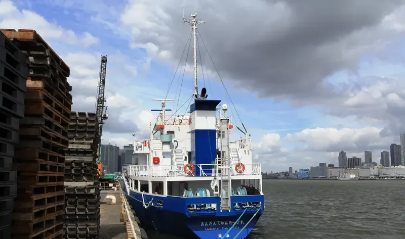 ANDANTE CANTABILE General Cargo IMO 9587738