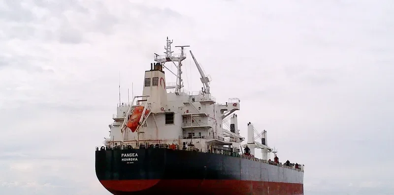 PANGEA Bulk Carrier IMO 9587879
