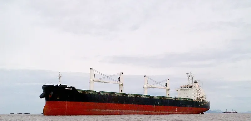 PANGEA Bulk Carrier IMO 9587879 photo 2