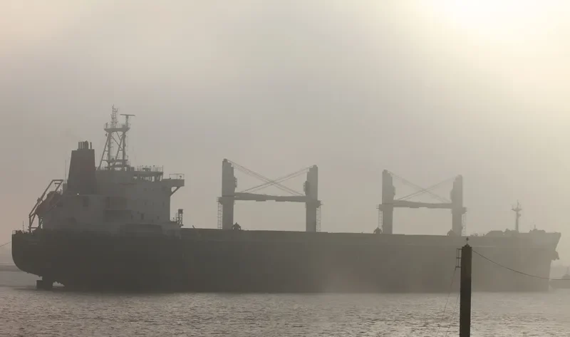 PANGEA Bulk Carrier IMO 9587879 photo 5