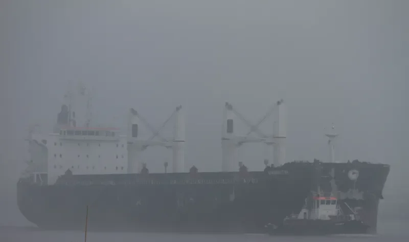 PANGEA Bulk Carrier IMO 9587879 photo 6