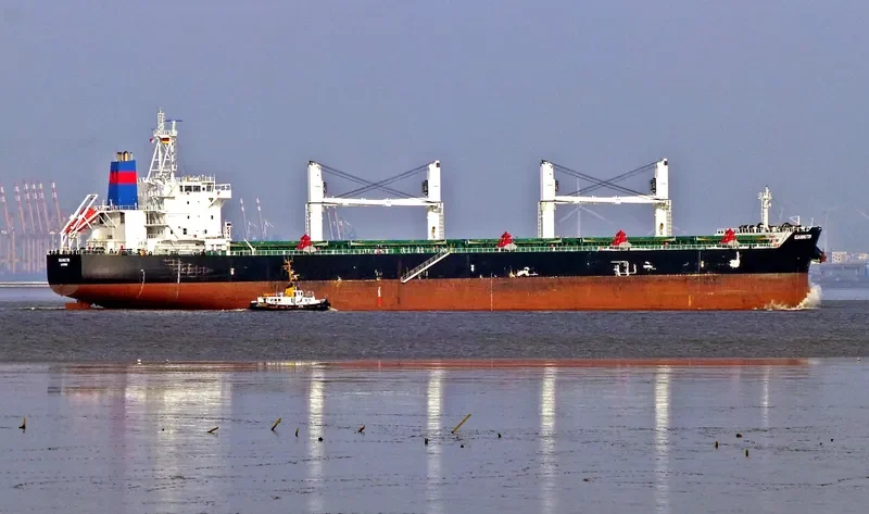 PANGEA Bulk Carrier IMO 9587879 photo 7