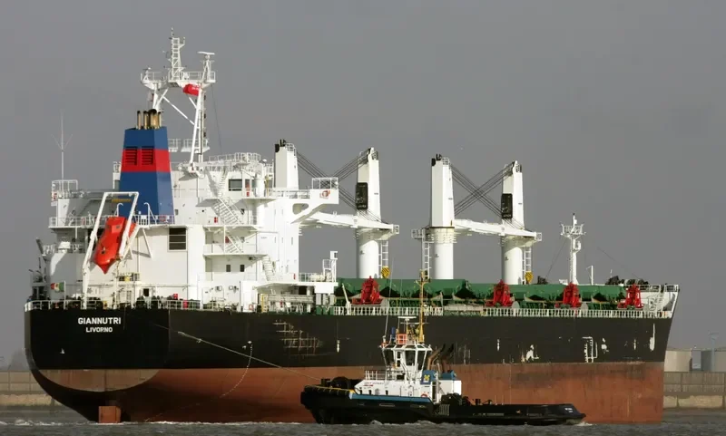 PANGEA Bulk Carrier IMO 9587879 photo 8