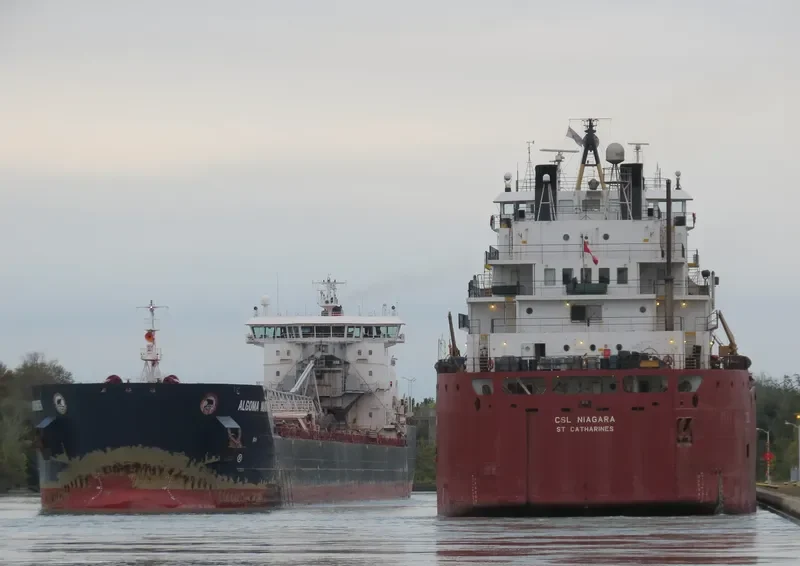 ALGOMA MARINER Bulk Carrier IMO 9587893