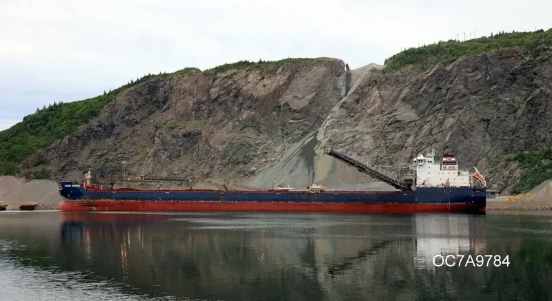 ALGOMA MARINER Bulk Carrier IMO 9587893 photo 7