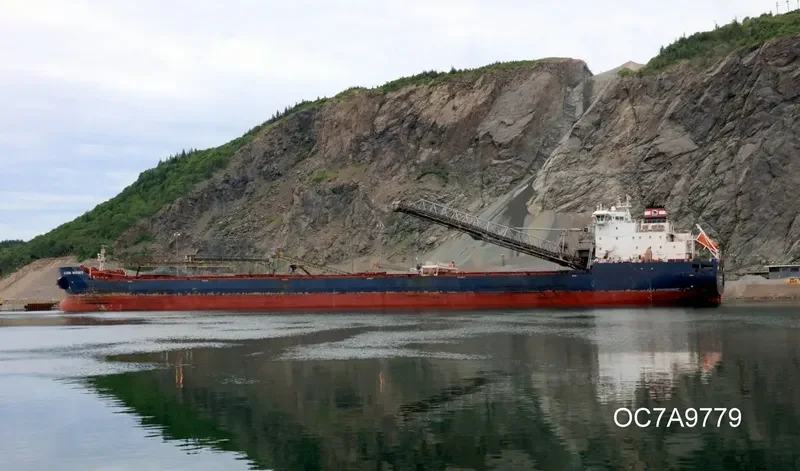 ALGOMA MARINER Bulk Carrier IMO 9587893 photo 8