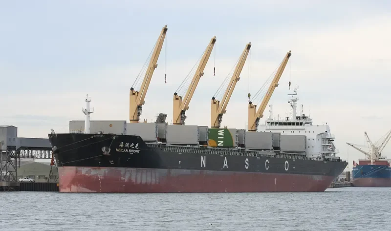 HEILAN BRIGHT Bulk Carrier IMO 9587958 photo 2