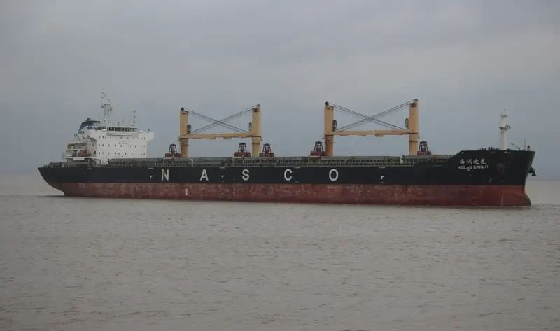 HEILAN BRIGHT Bulk Carrier IMO 9587958 photo 3