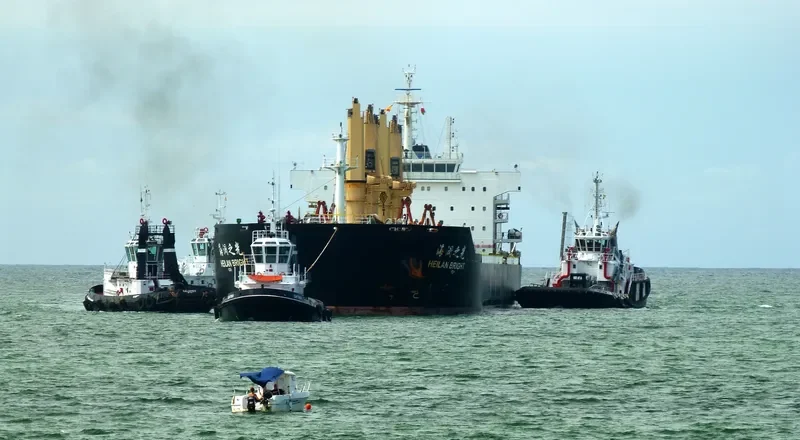 HEILAN BRIGHT Bulk Carrier IMO 9587958 photo 8