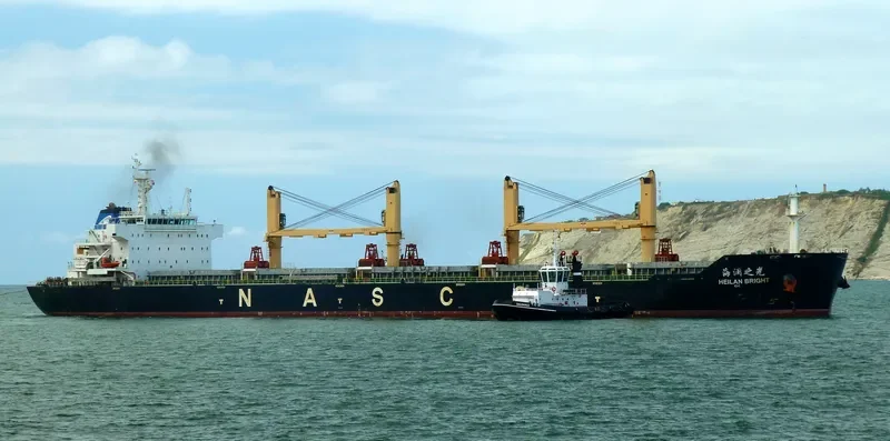 HEILAN BRIGHT Bulk Carrier IMO 9587958 photo 9