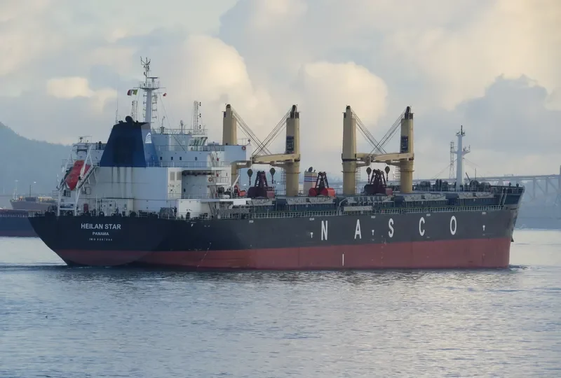HEILAN STAR Bulk Carrier IMO 9587984 photo 4