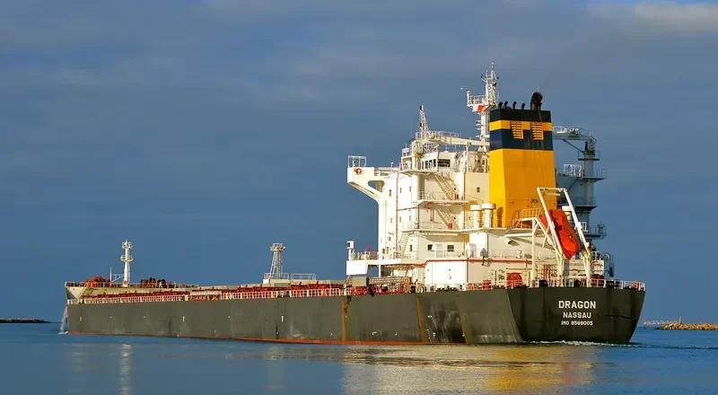 DRAGON Bulk Carrier IMO 9588005 photo 19