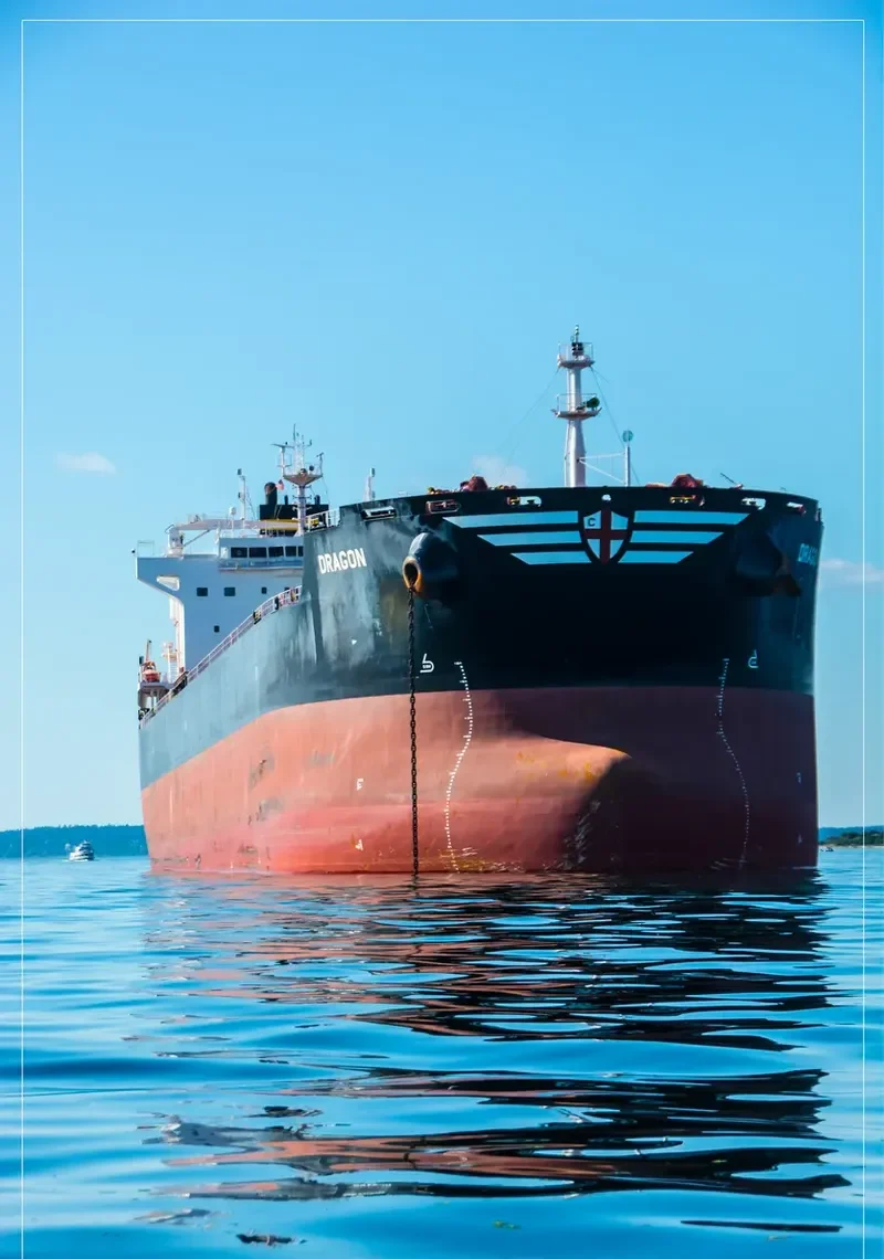 DRAGON Bulk Carrier IMO 9588005 photo 22