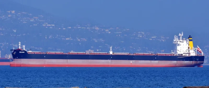DRAGON Bulk Carrier IMO 9588005 photo 35