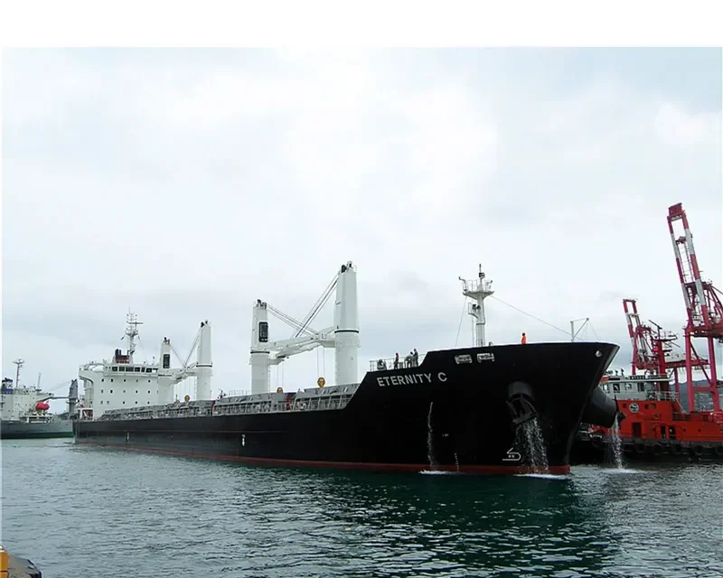 ETERNITY C Bulk Carrier IMO 9588249 photo 3