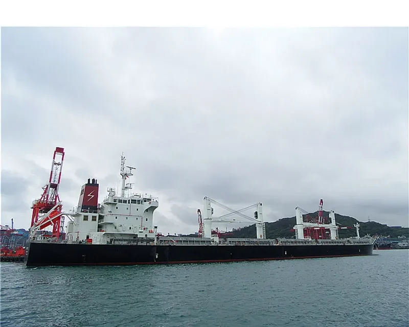 ETERNITY C Bulk Carrier IMO 9588249 photo 5