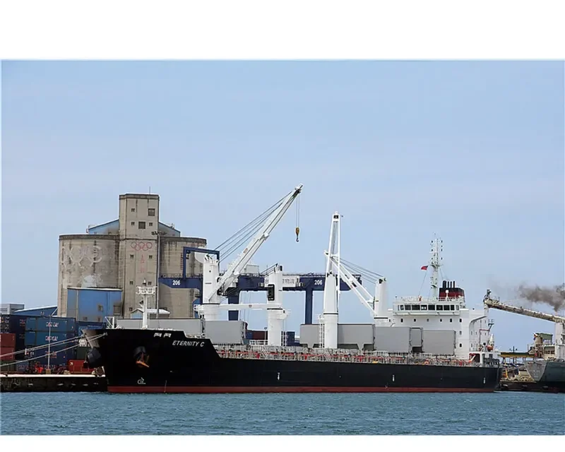 ETERNITY C Bulk Carrier IMO 9588249 photo 6