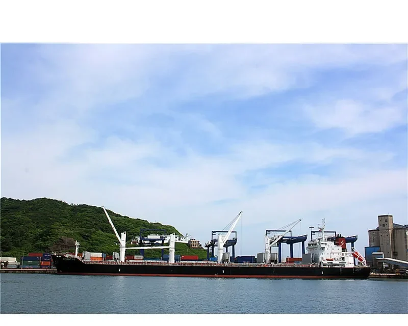ETERNITY C Bulk Carrier IMO 9588249 photo 7