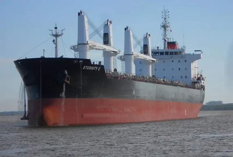 ETERNITY C Bulk Carrier IMO 9588249 photo 8