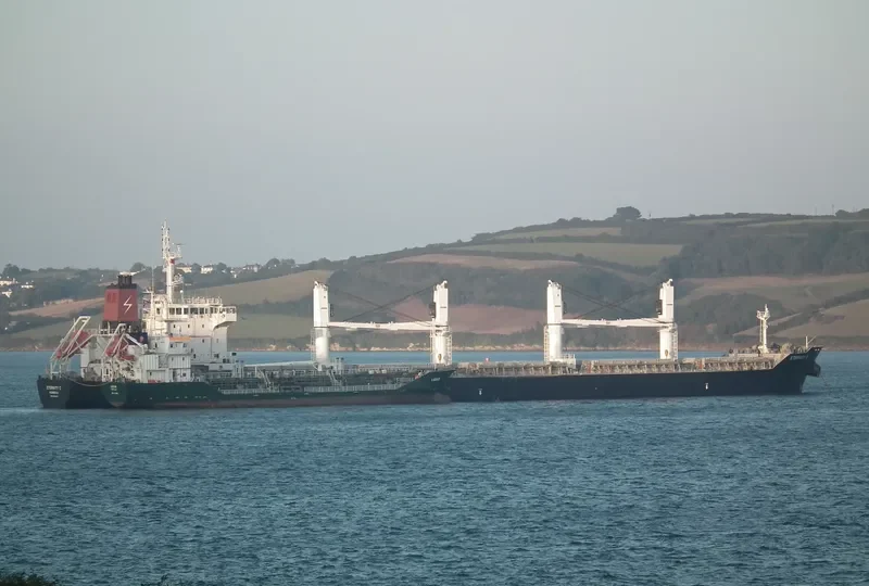 ETERNITY C Bulk Carrier IMO 9588249 photo 9