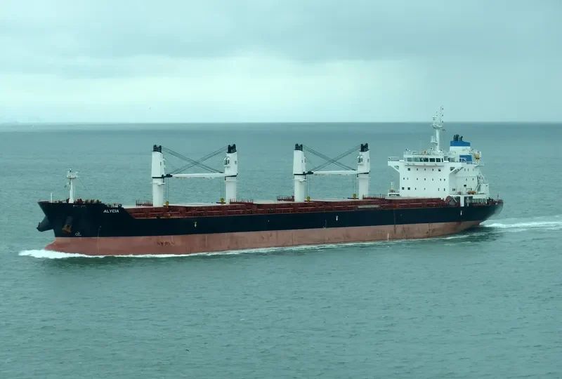 ALYCIA Bulk Carrier IMO 9588366 photo 7