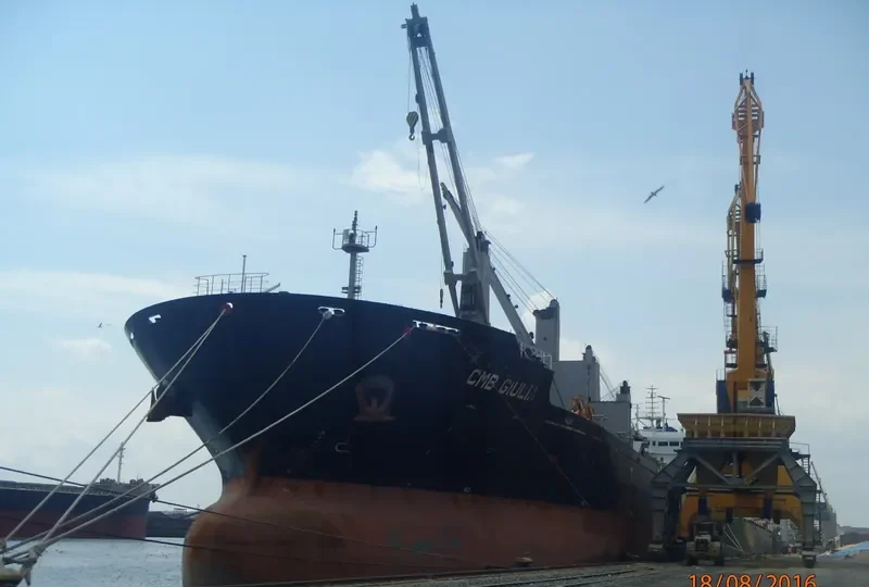 VICTORY C Bulk Carrier IMO 9588419 photo 4