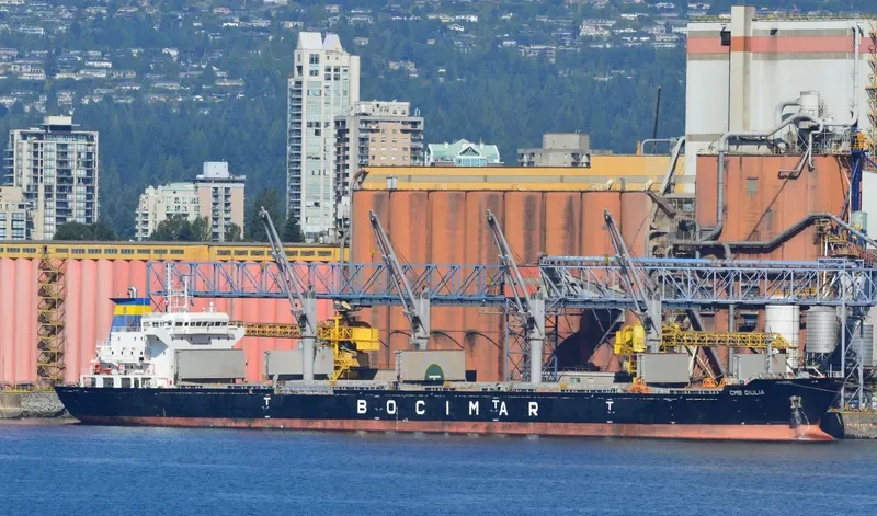 VICTORY C Bulk Carrier IMO 9588419 photo 6