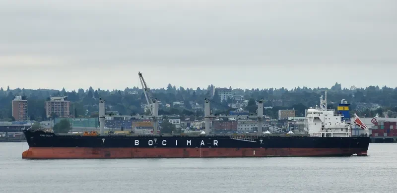 VICTORY C Bulk Carrier IMO 9588419 photo 9