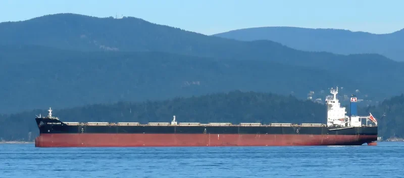 STAR POLARIS Bulk Carrier IMO 9588457 photo 2