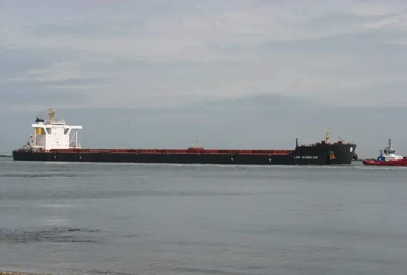 LOS ANGELES Bulk Carrier IMO 9588483 photo 5