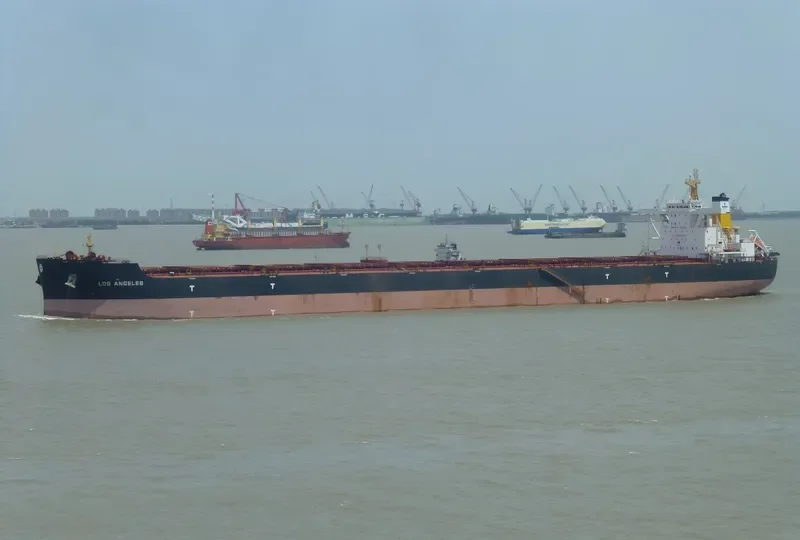 LOS ANGELES Bulk Carrier IMO 9588483 photo 7