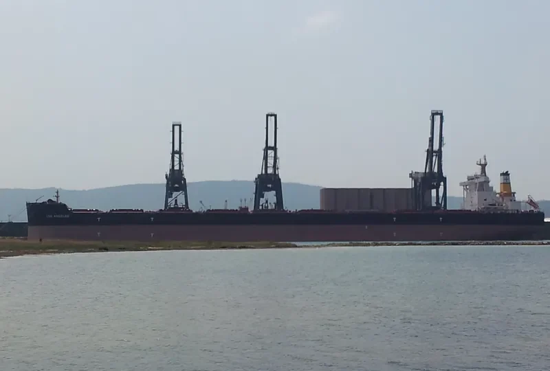 LOS ANGELES Bulk Carrier IMO 9588483 photo 8
