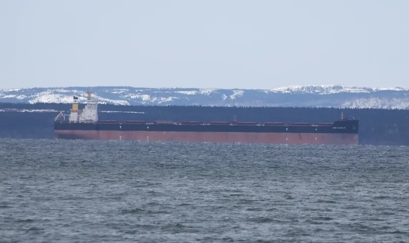 LOS ANGELES Bulk Carrier IMO 9588483 photo 9