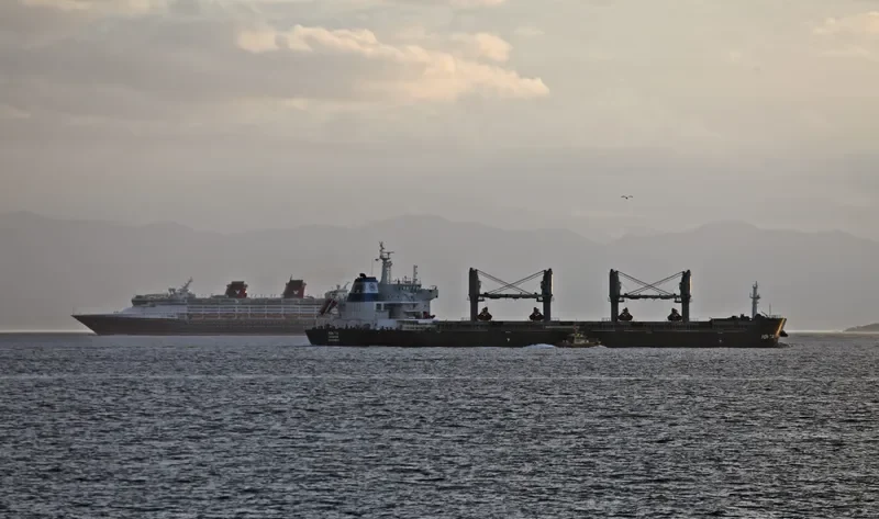 CENTURY BRIGHT Bulk Carrier IMO 9588500 photo 5