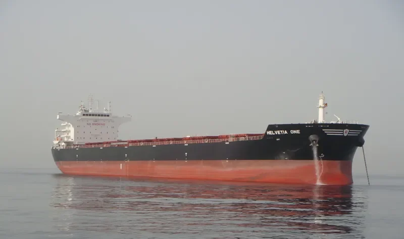 HELVETIA ONE Bulk Carrier IMO 9588603 photo 8
