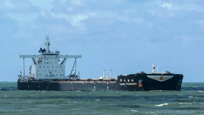 CHINA PIONEER Bulk Carrier IMO 9588768