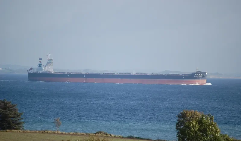 CHINA PIONEER Bulk Carrier IMO 9588768 photo 7
