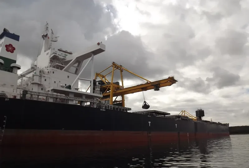CHINA PIONEER Bulk Carrier IMO 9588768 photo 9
