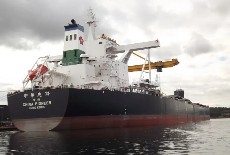 CHINA PIONEER Bulk Carrier IMO 9588768 photo 10